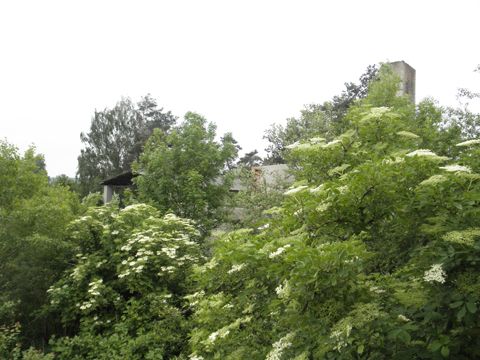 Foto 61